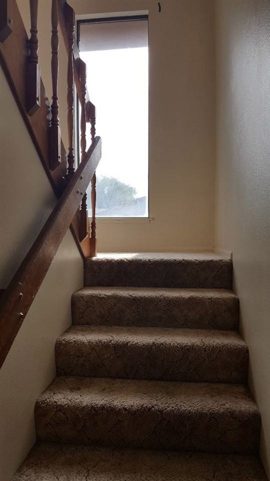 Elm Ave - Photo 6 of 12