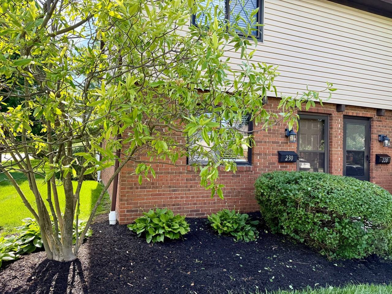 230 Nottingham Ct - Photo 2 of 8
