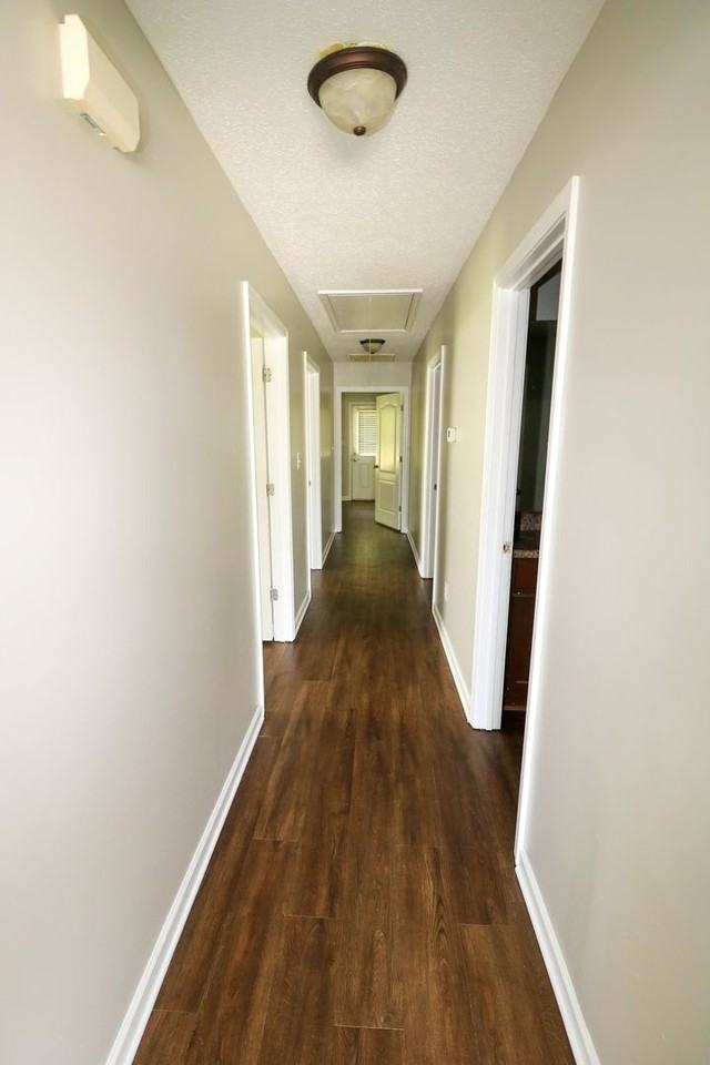 11A Shaley St - Photo 6 of 20