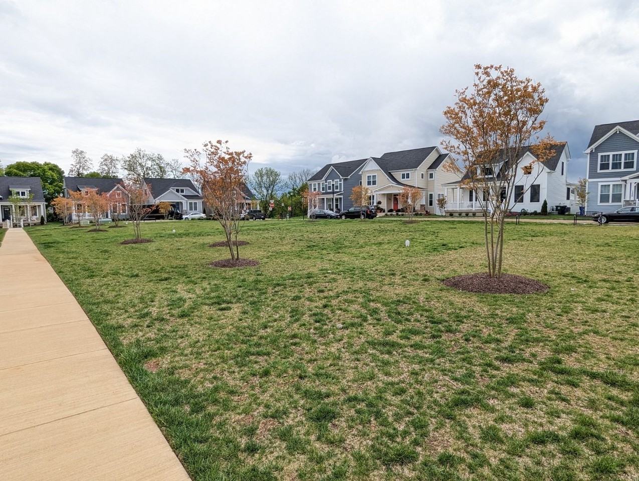 1207 Marsalis Pl - Photo 6 of 50