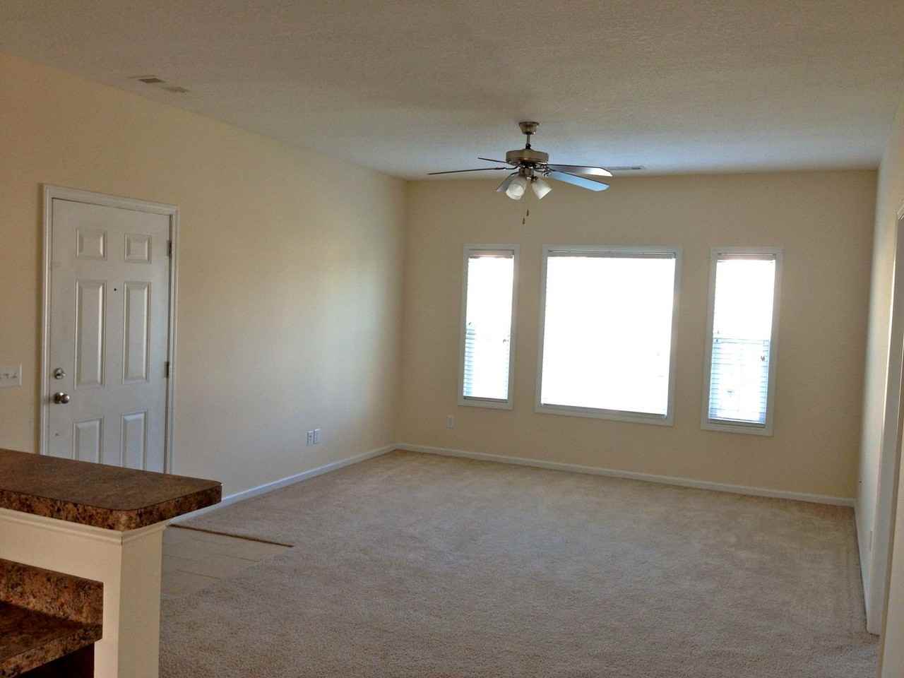241 Sawgrass Trl - Photo 3 of 3