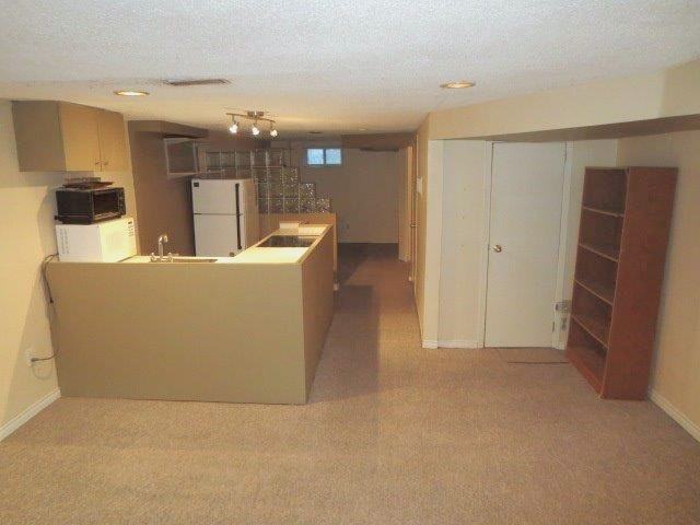 829 Pape Ave #BS - Photo 3 of 9