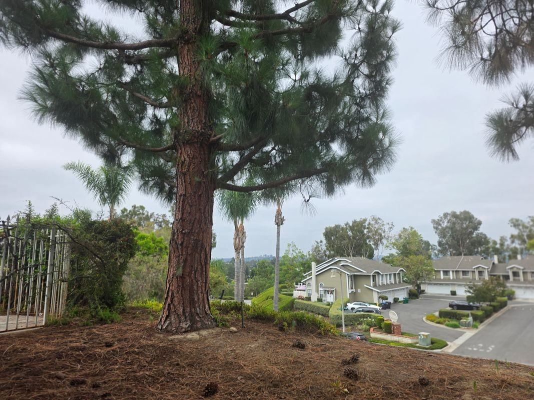 23395 La Crescenta ##A - Photo 3 of 3