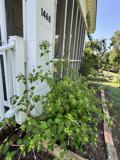 1468 Hilltop St #1 - Photo 1 of 1