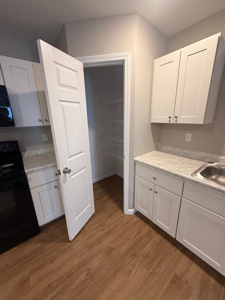 226 Cane Creek Ln - Photo 4 of 9