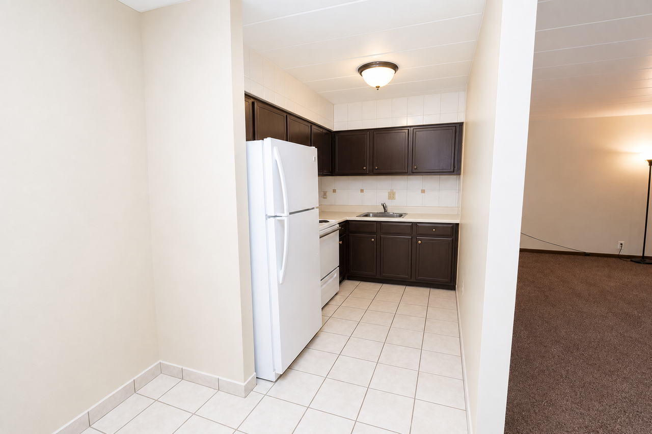 501 MIFFLIN AVENUEAPT 2 #2 - Photo 4 of 11