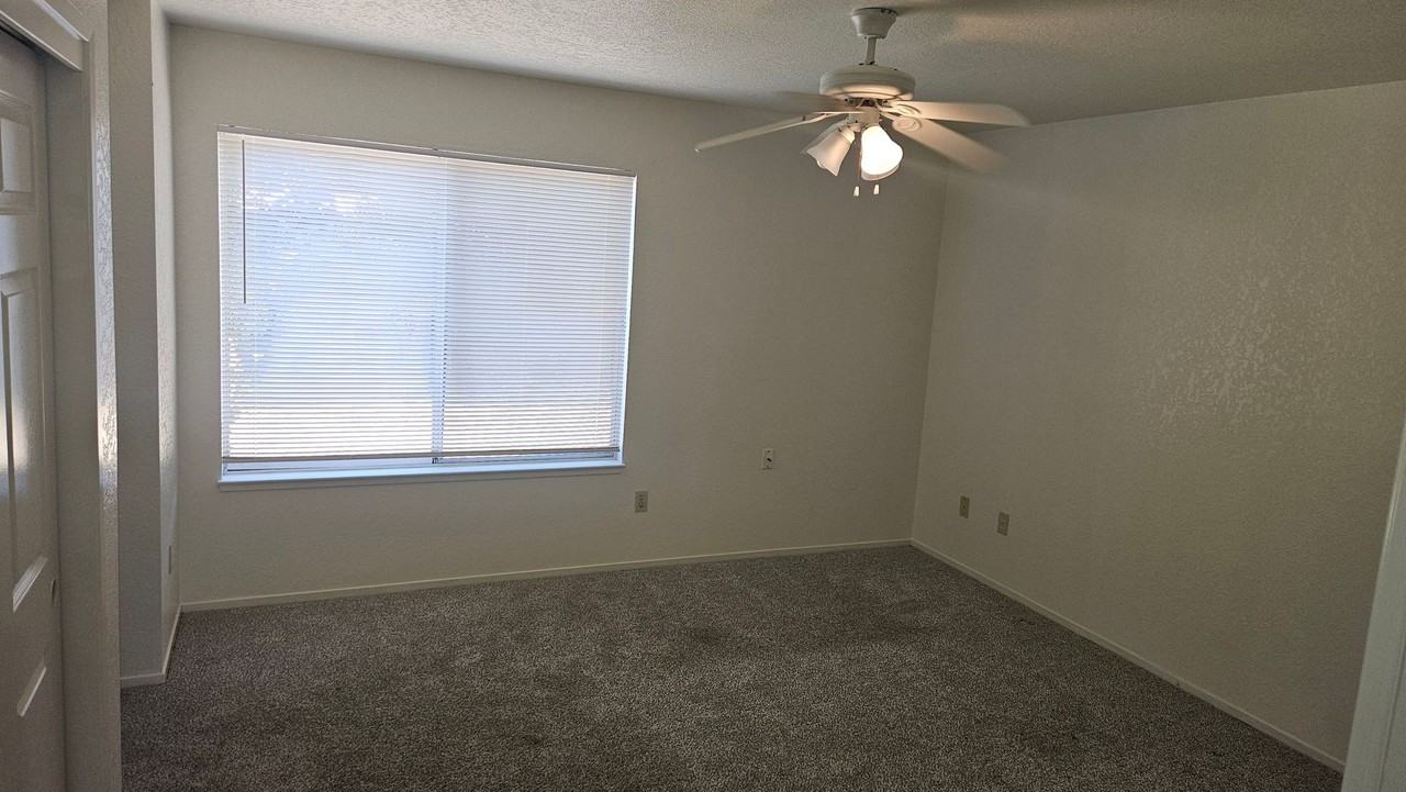 3713 E Orangeburg Ave - Photo 5 of 19