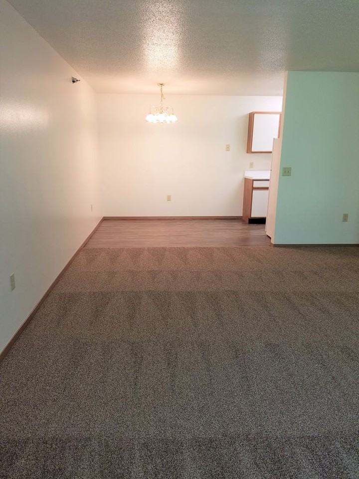 The Pines - Photo 4 of 50