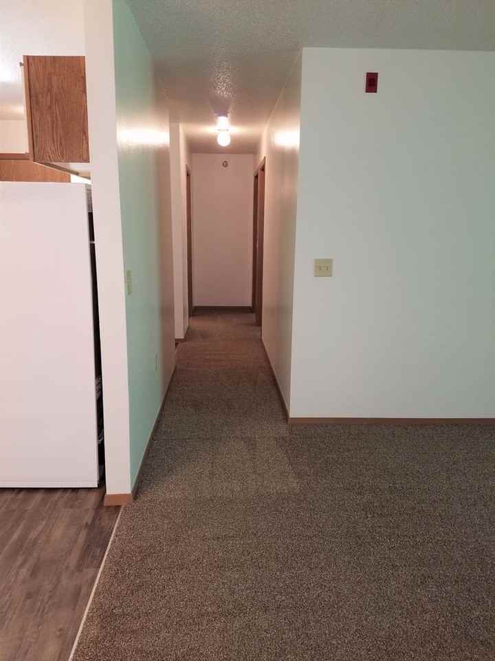 The Pines - Photo 6 of 50