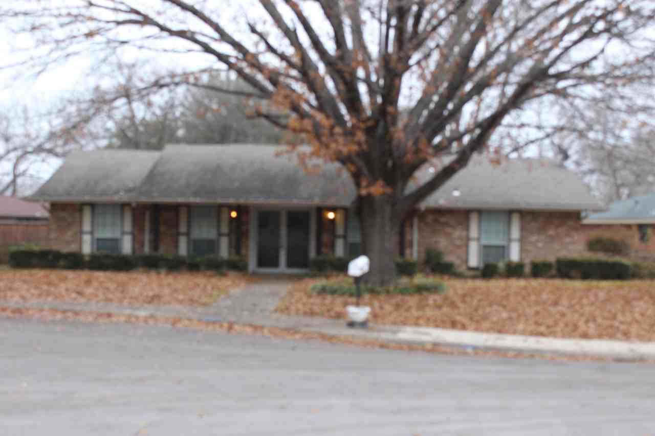 1314 Hanna Cir - Photo 3 of 13