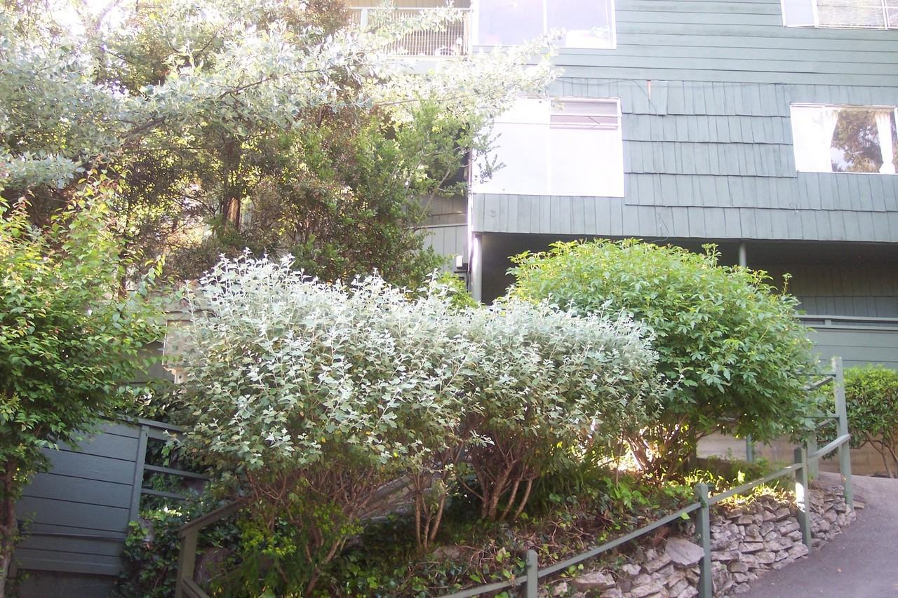 1717 La Loma Ave #3 - Photo 2 of 13