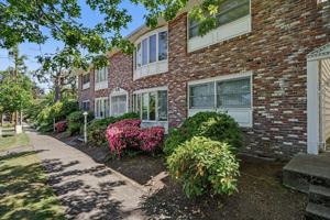 featured image of 260 Wilson St S