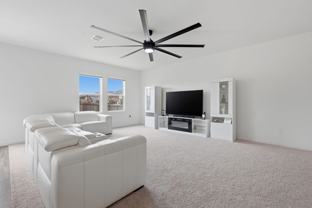 10138 Tiger Flower Ln - Photo 1 of 1