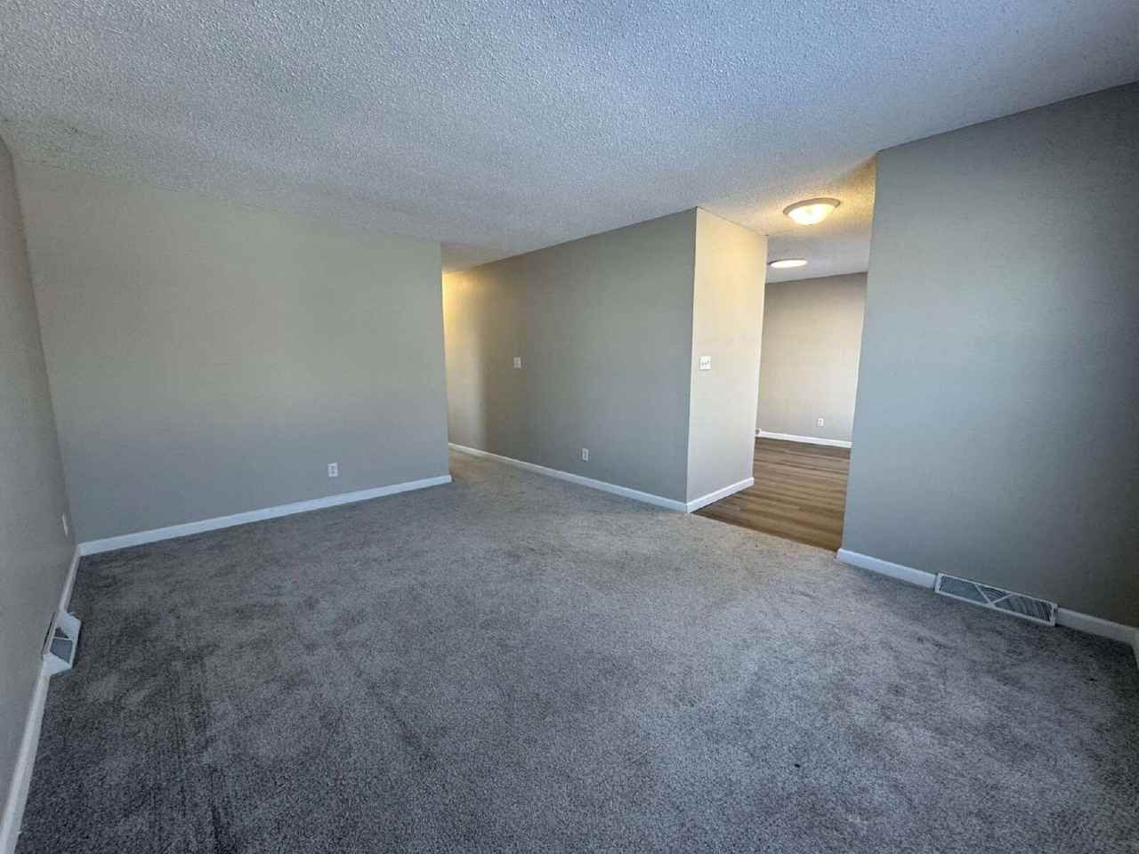 100 Hawkeye Way - Photo 7 of 19