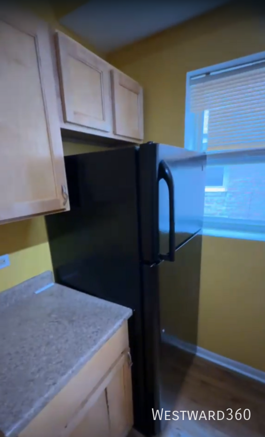 8154 S Drexel Ave #2E - Photo 3 of 10