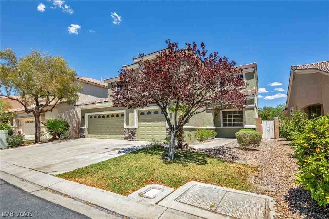 10792 Vineyard Pass St #0 - Photo 4 of 50