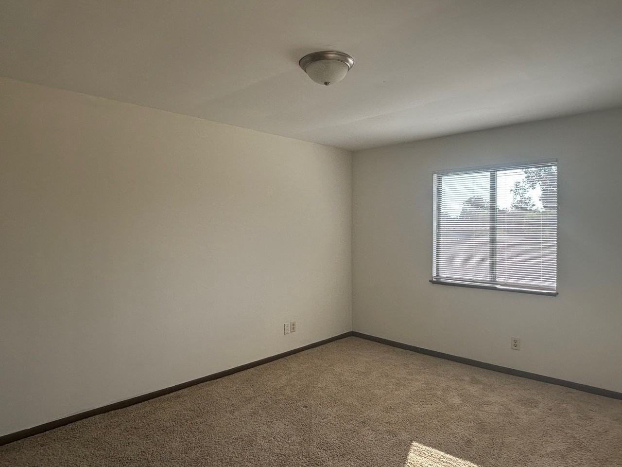 1125 Country Ln - Photo 6 of 16