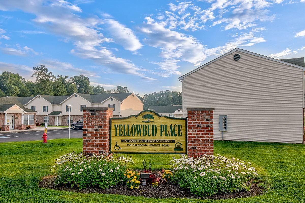 Yellowbud Place - Photo 2 of 21