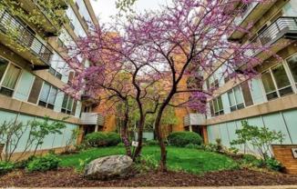 1430 S Michigan Ave #407 - Photo 1 of 1