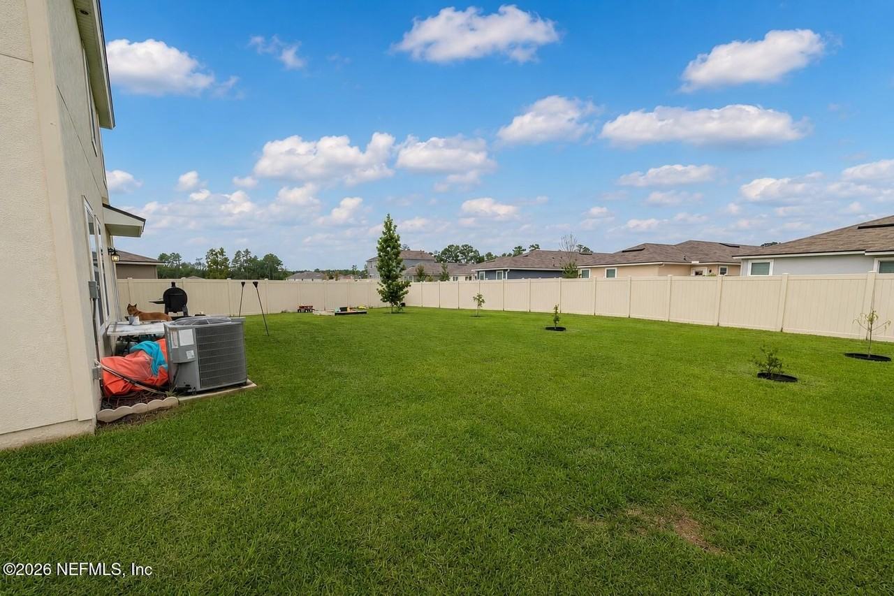 12555 Rubber Fig Ter - Photo 3 of 23