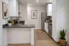 241 Brushy Creek Trl - Photo 1 of 1