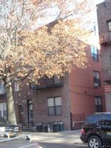 2265 27th St #1A - Photo 1 of 1