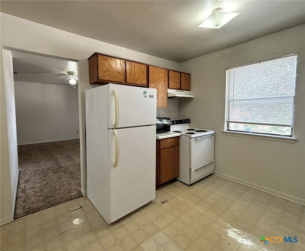 305 Northern Dove Ln #C - Photo 4 of 10