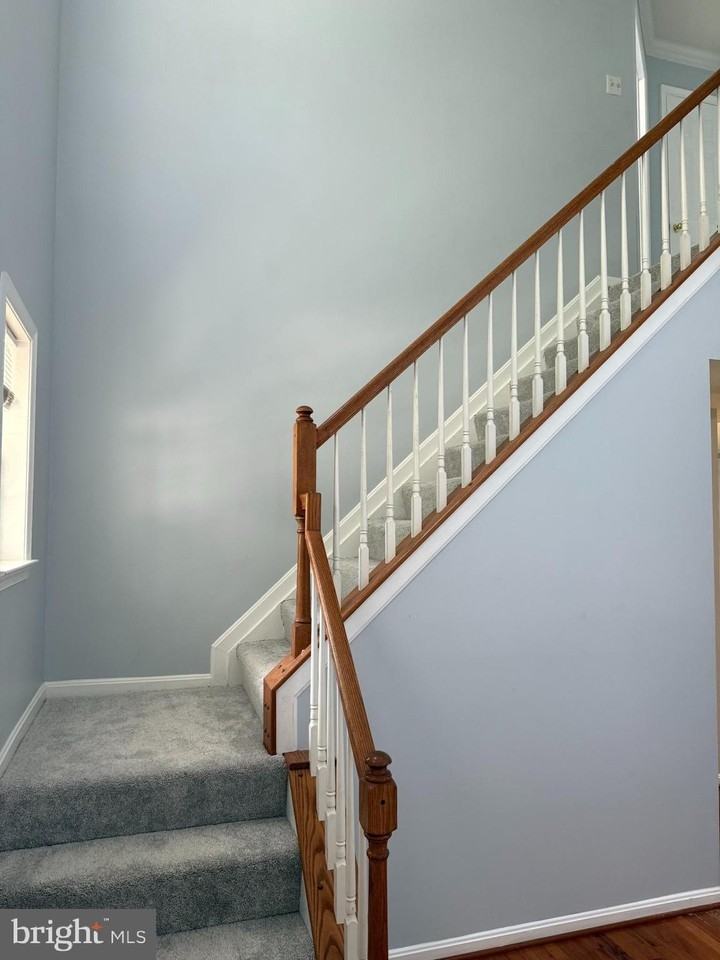 2589 Merganser Ct - Photo 7 of 22