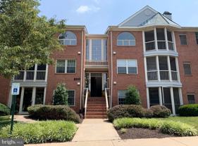 800 Amber Tree Ct #103 - Photo 1 of 1