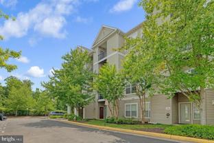 5136 Brittney Elyse Cir Apt B #B - Photo 1 of 1