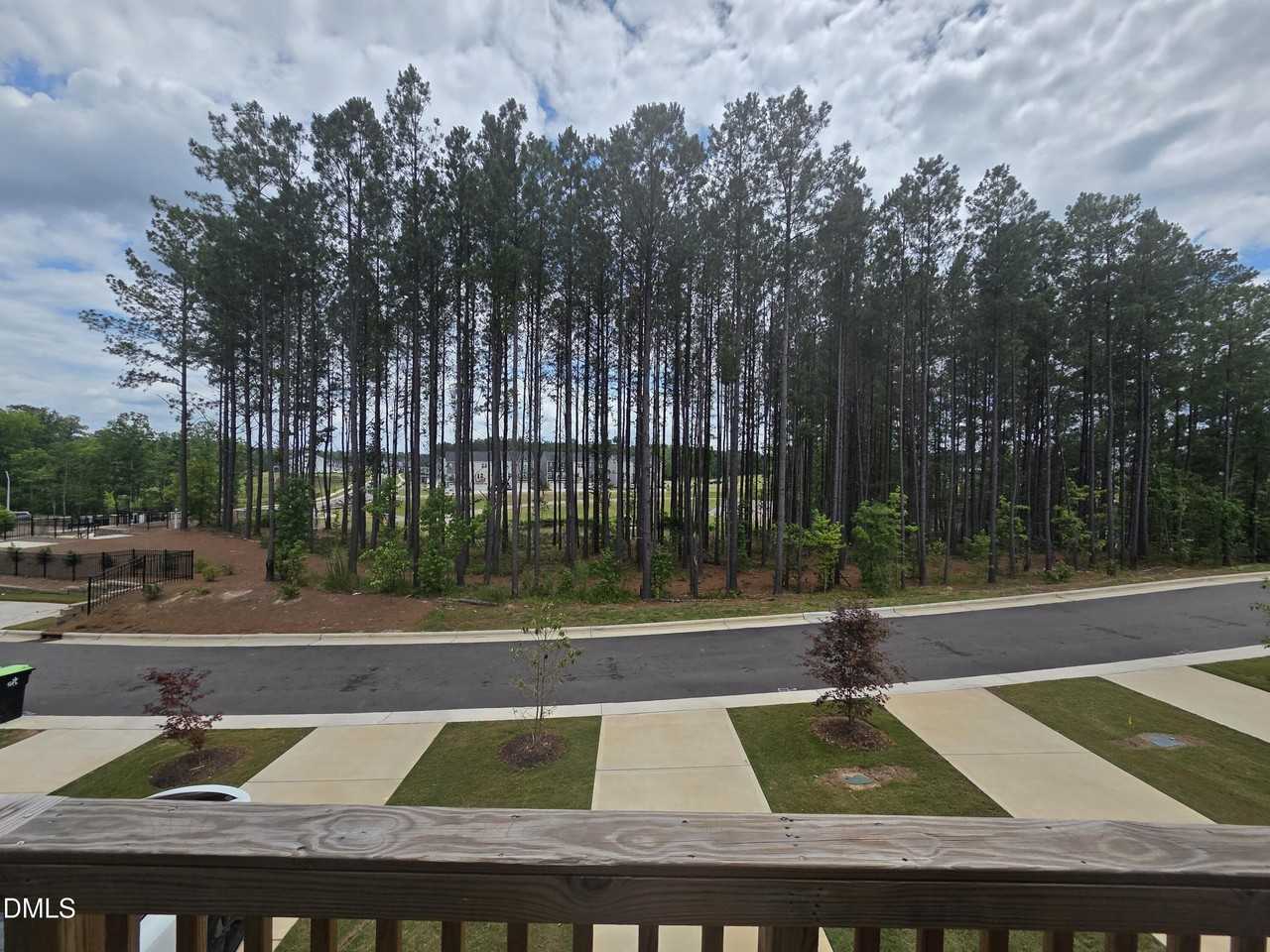451 Carolina Springs Blvd - Photo 6 of 27