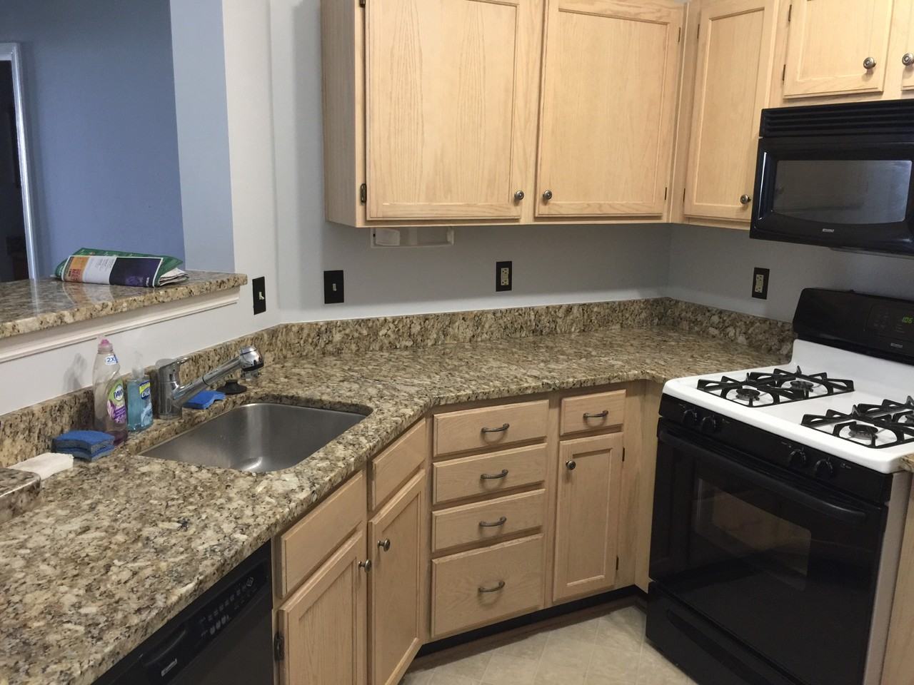 14322 Climbing Rose Way #206 - Photo 3 of 29