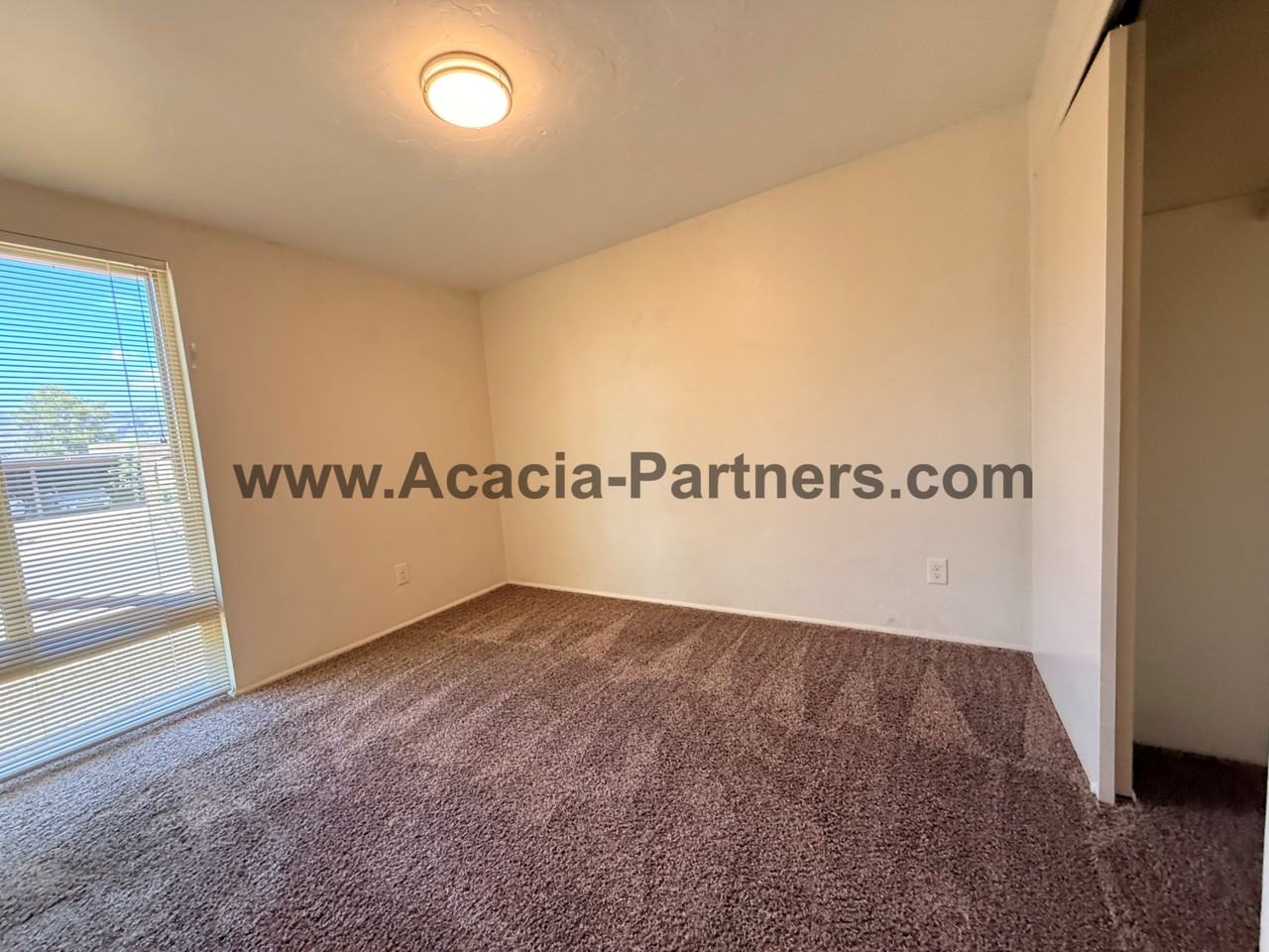 8602 E Calle Bolivar - Photo 4 of 19