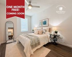 featured image of 710 Shine St #1201