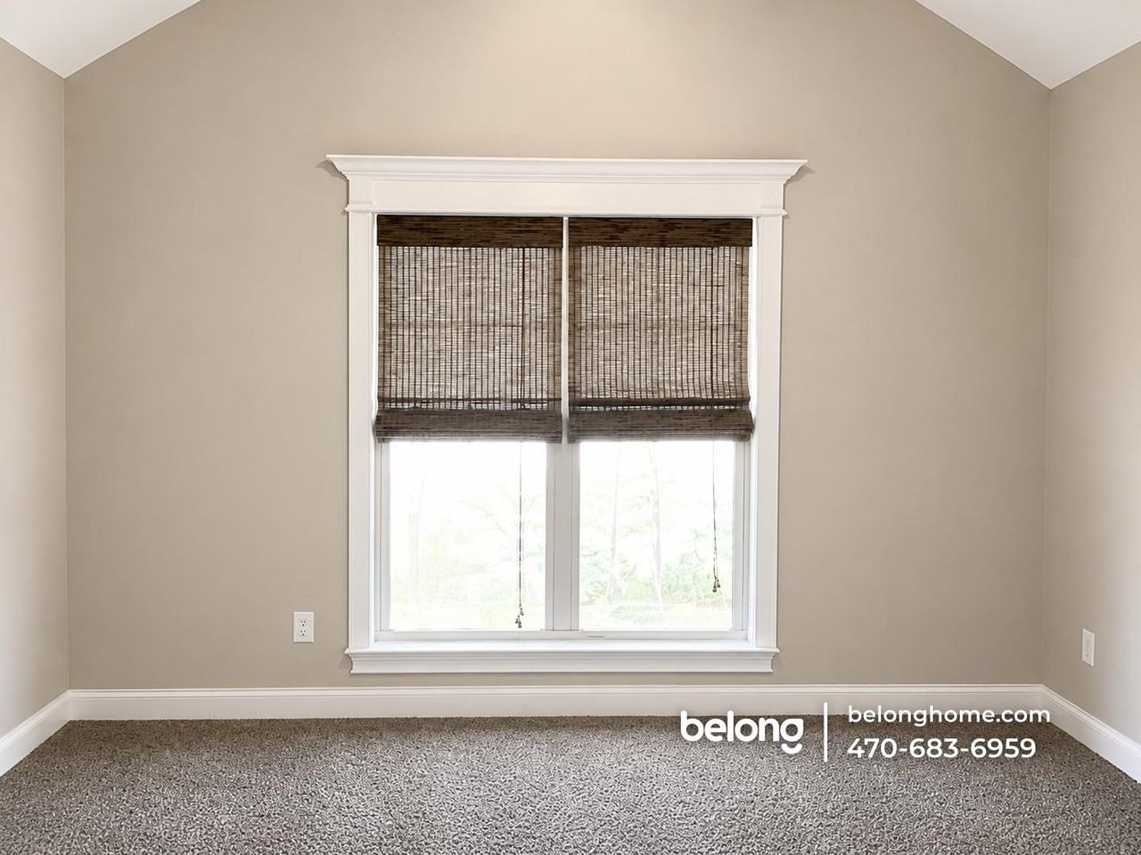 312 Loneoak Trl - Photo 6 of 10