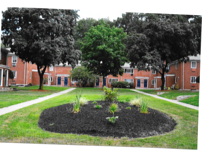 458 Middle Tpke W #14U - Photo 4 of 11