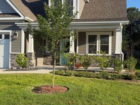 126 Rice Marsh Way - Photo 1 of 1