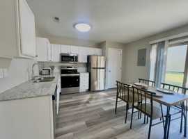 featured image of 4912 Alpine Ridge Dr