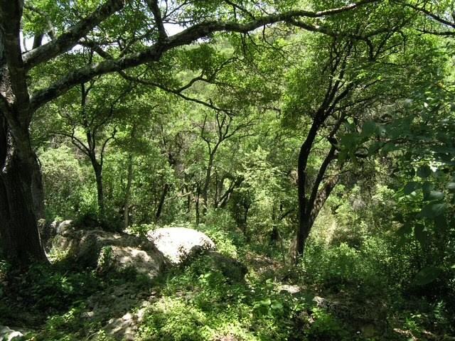 513 N Cuernavaca Dr #B - Photo 3 of 31