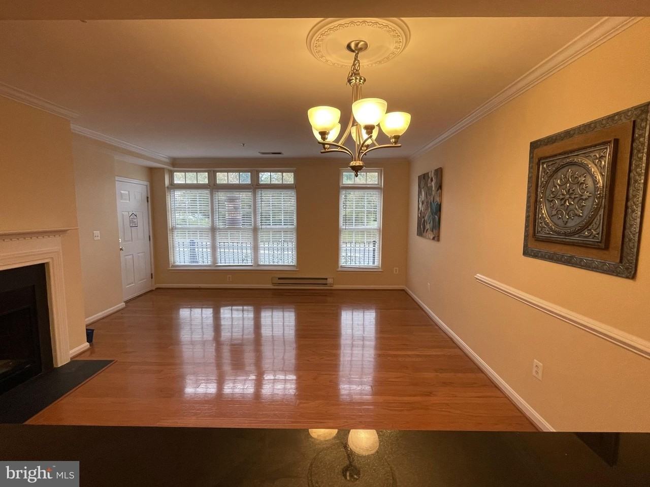 4701 Eggleston Ter #121 - Photo 3 of 19