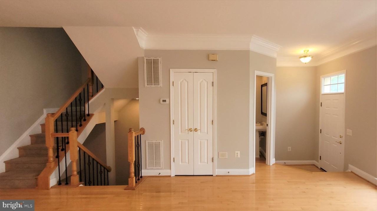 5344 Blue Aster Cir - Photo 5 of 41