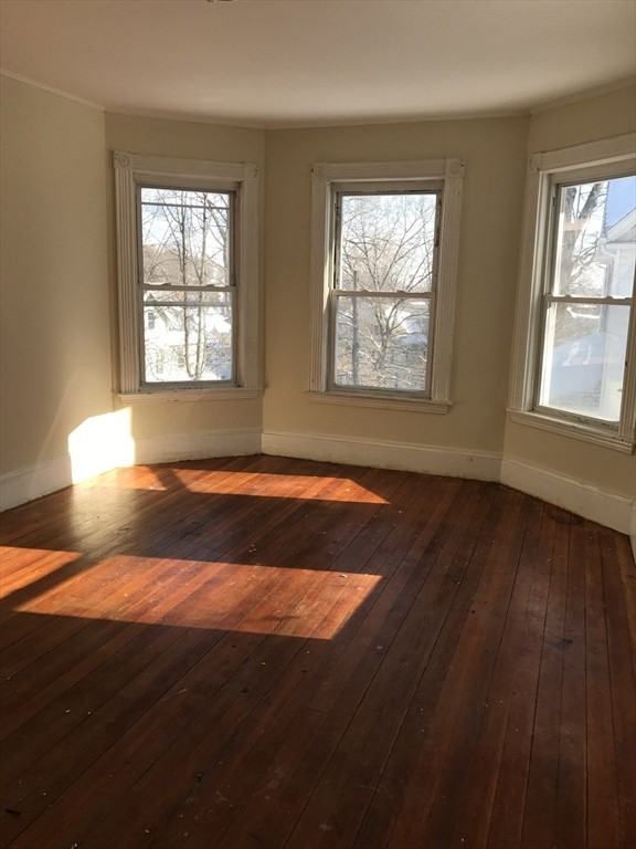 203 Bigelow St #1 - Photo 7 of 12