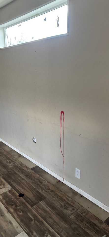 Red Fir - Photo 2 of 3
