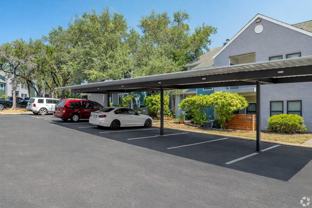 13999 Old Blanco Rd - Photo 1 of 1