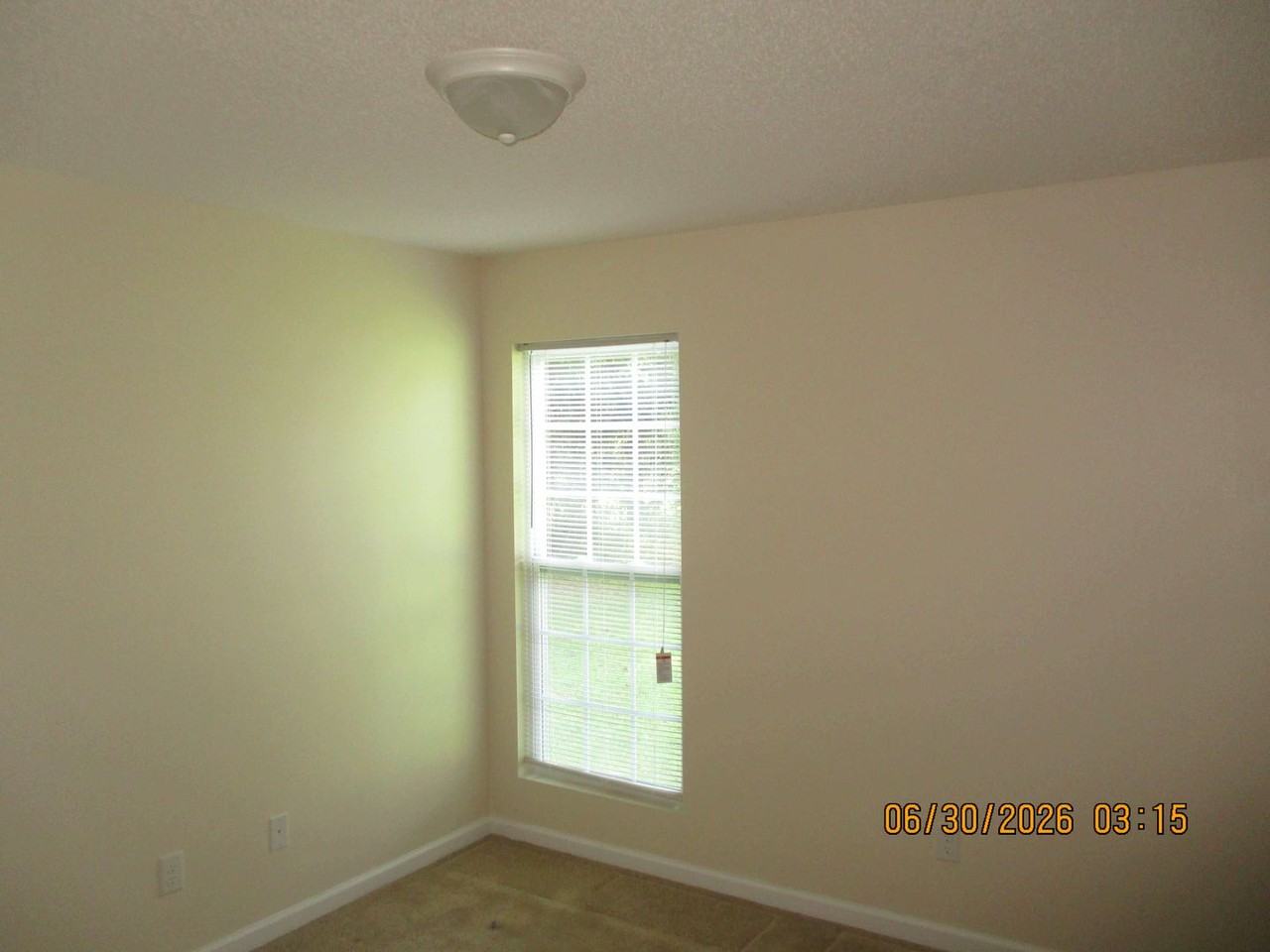 207 Cloud Ln - Photo 6 of 10