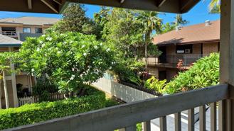 480 Kenolio Rd - Photo 1 of 1