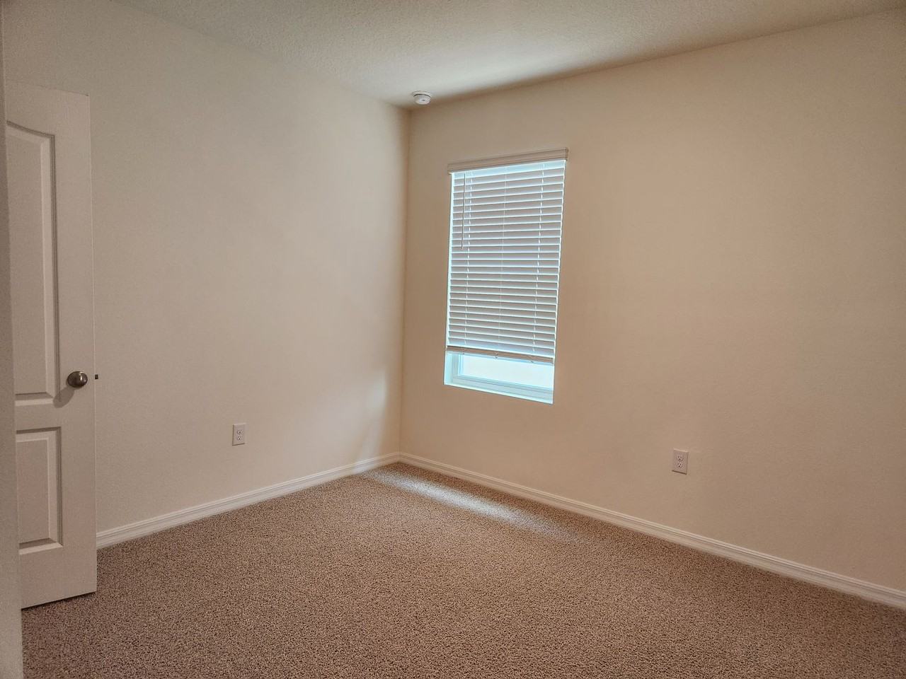 59 Melogold Dr - Photo 4 of 18