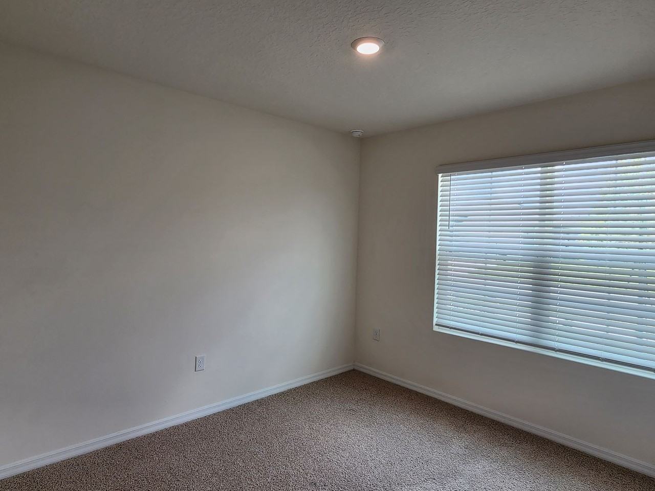 59 Melogold Dr - Photo 6 of 18