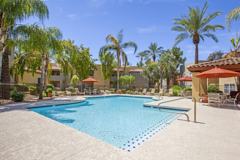 The Palms - Photo 1 of 1
