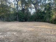 10855 Royal Pines Dr - Photo 7 of 13